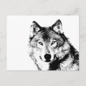 Schwarz-Weiß-Wolf Postkarte (Vorderseite)