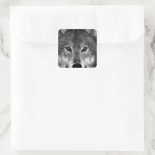 Schwarz-Weiß-Wolf Quadratischer Aufkleber (Tasche)