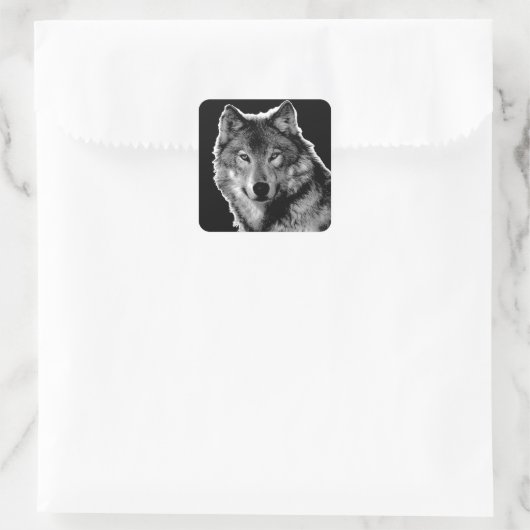 Schwarz-Weiß-Wolf Quadratischer Aufkleber (Tasche)