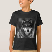 Schwarz-Weiß-Wolf