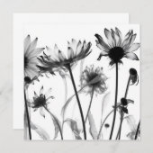 Schwarz-Weiß-X-Ray-Blume (Vorne/Hinten)