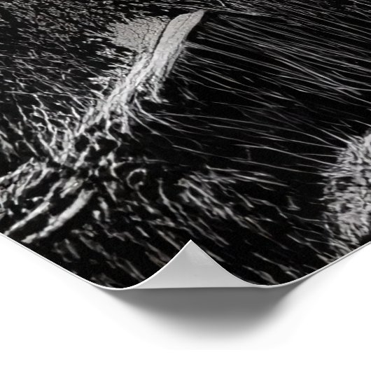 Schwarz-Weiß-Zebra-Kunst | AI Art Poster (Ecke)