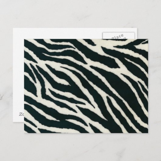 Schwarz-Weiß-Zebra-Postkarten Postkarte (Vorne/Hinten)