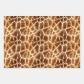 Schwarz-weiß Zebra Print Animal Safari Geschenkpapier Set (Vorderseite 2)