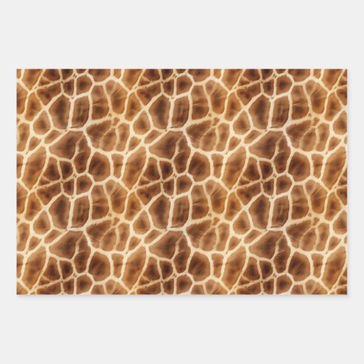 Schwarz-weiß Zebra Print Animal Safari Geschenkpapier Set (Vorderseite 2)