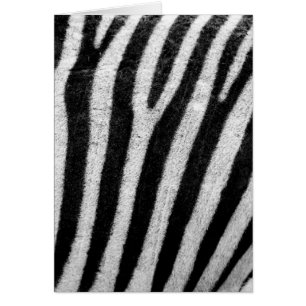 Schwarz-Weiß-Zebrastreifen