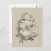 Schwarz-Weiß Zeichnend Küken auf Taupe Postkarte (Vorne/Hinten)