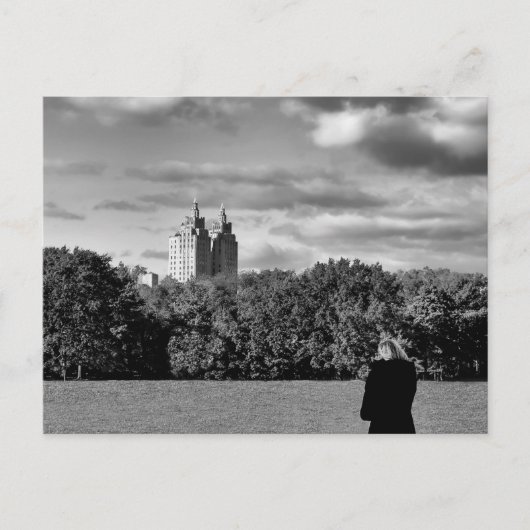 Schwarz-Weiß-Zentralparklandschaft Foto Postkarte (Vorderseite)