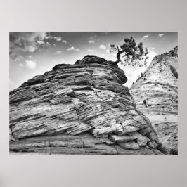 Schwarz-Weiß-Zion Bonsai Tree Landschaft Foto Poster