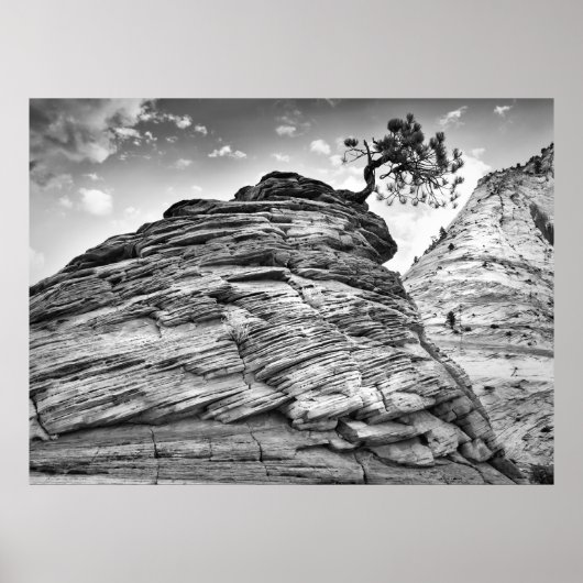 Schwarz-Weiß-Zion Bonsai Tree Landschaft Foto Poster (Vorne)