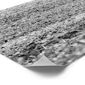 Schwarz-Weiß-Zuchttraktor, in Feld 16x20 Poster (Ecke)