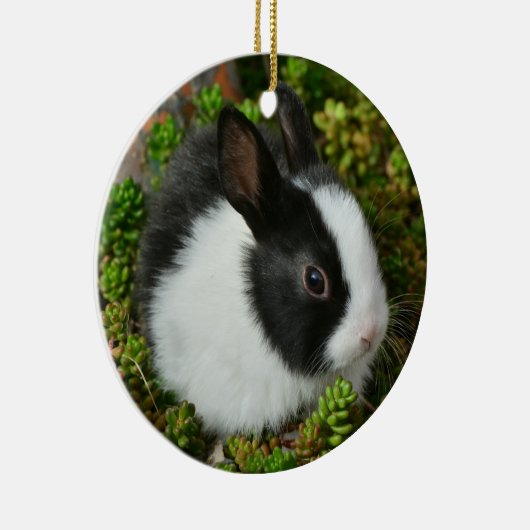 Schwarz-Weiß-Zwerg Mini Bunny Rabbit Keramik Ornament (Rechts)