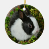 Schwarz-Weiß-Zwerg Mini Bunny Rabbit Keramik Ornament (Vorne)