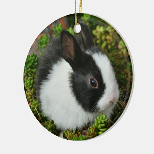 Schwarz-Weiß-Zwerg Mini Bunny Rabbit Keramik Ornament (Links)