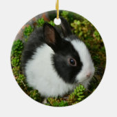 Schwarz-Weiß-Zwerg Mini Bunny Rabbit Keramik Ornament (Hinten)