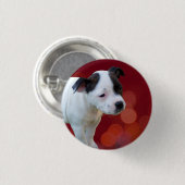 Schwarz-Weiß-Zwergpuppy Button (Vorne & Hinten)