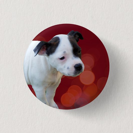 Schwarz-Weiß-Zwergpuppy Button (Vorderseite)