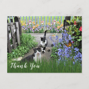Schwarz-weiße Anzugkatzen im Garten Danke Postkarte