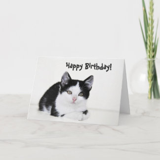 Schwarz-weiße bedachte Kitten Grußkarte Karte