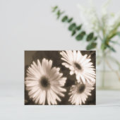 Schwarz-weiße Blume Postkarte (Stehend Vorderseite)