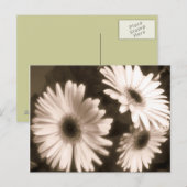 Schwarz-weiße Blume Postkarte (Vorne/Hinten)