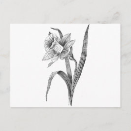 Schwarz-weiße Blume Vintag Postkarte