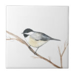 Schwarz-weiße Chickadee Bird Frische Pasta machen Fliese<br><div class="desc">Schöne schwarz-weiße Sprössling Wasserfarbe Fliesen. Farbenfrohe Vögel,  Tiere,  wilde Fliesen.</div>