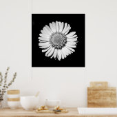 Schwarz-weiße Daisy Floral Art Botanische Fotograf Poster (Küche)