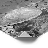 Schwarz-weiße Dolphin Sea Turtle Fish Printable Ar Poster (Ecke)