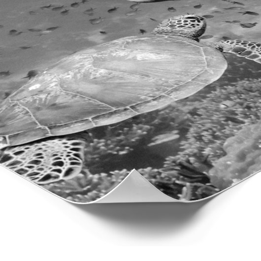Schwarz-weiße Dolphin Sea Turtle Fish Printable Ar Poster (Ecke)