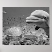 Schwarz-weiße Dolphin Sea Turtle Fish Printable Ar Poster (Vorne)