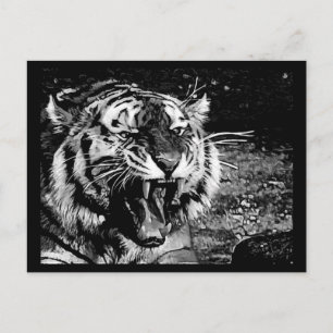 SCHWARZ-WEISSE FÄNGERTIERE, DIE WILDTIERE ROHREN C POSTKARTE