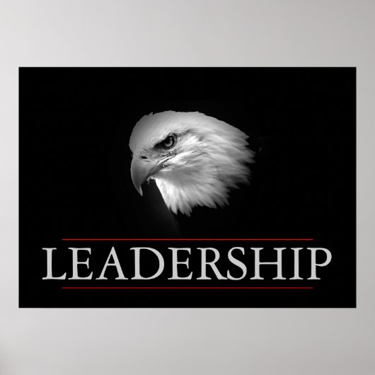 Schwarz-weiße Führung Feelless Eagle Poster (Vorne)