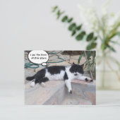 SCHWARZ-WEISSE GROSSE TÜRKISCHE KATZE IN SEINEM GA POSTKARTE (Stehend Vorderseite)