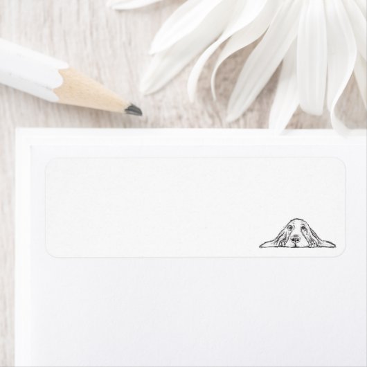 Schwarz-weiße Hundeaugen (Insitu)