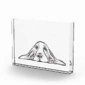 Schwarz-weiße Hundeaugen Fotoblock (Rechts)