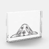 Schwarz-weiße Hundeaugen Fotoblock (Links)