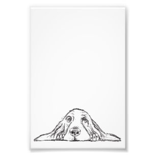 Schwarz-weiße Hundeaugen Fotodruck