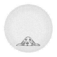 Schwarz-weiße Hundeaugen