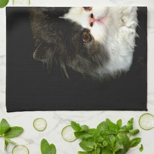 Schwarz-weiße Kätzchenflaume Geschirrtuch (Gefaltet)