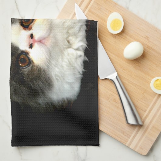 Schwarz-weiße Kätzchenflaume Geschirrtuch (Viertel Falte)