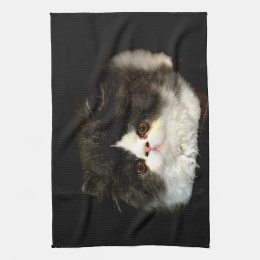 Schwarz-weiße Kätzchenflaume Geschirrtuch (Vertikal)