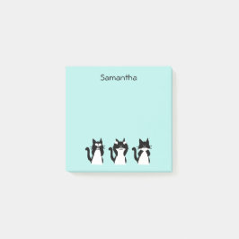 Schwarz-weiße Katzen Drei Kätzchen Aqua Blue Post-it Klebezettel