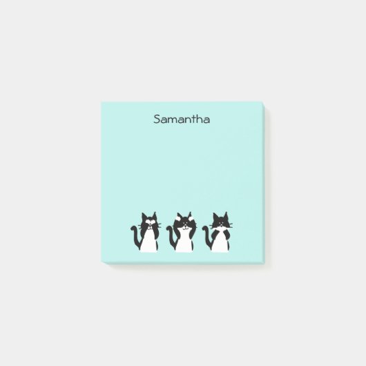 Schwarz-weiße Katzen Drei Kätzchen Aqua Blue Post-it Klebezettel (Vorderseite)