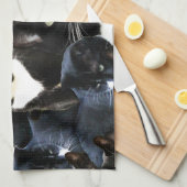 Schwarz-weiße Katzen-Verrücktheit Küchentuch (Viertel Falte)