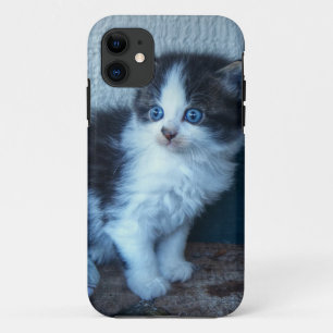 Schwarz + Weiße Kitte iPhone 11 Hülle