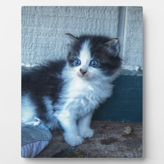 Schwarz + Weiße Kitte Fotoplatte (Vorderseite)