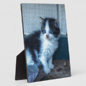 Schwarz + Weiße Kitte Fotoplatte (Seite)