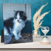 Schwarz + Weiße Kitte Fotoplatte (Seite)