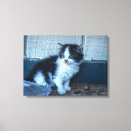 Schwarz + Weiße Kitte Leinwanddruck